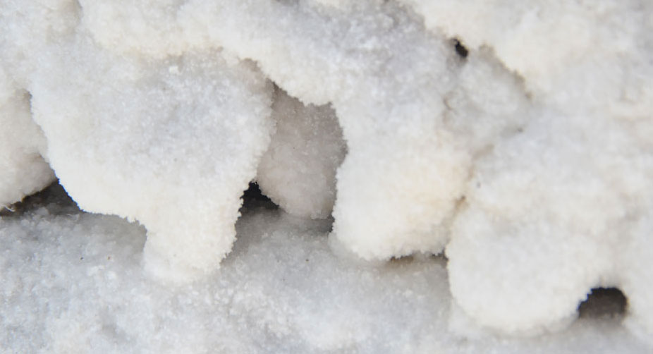 Acumulación de sal.