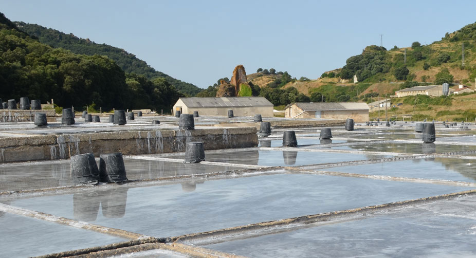 Producción de Sal en Salinas de Oro.