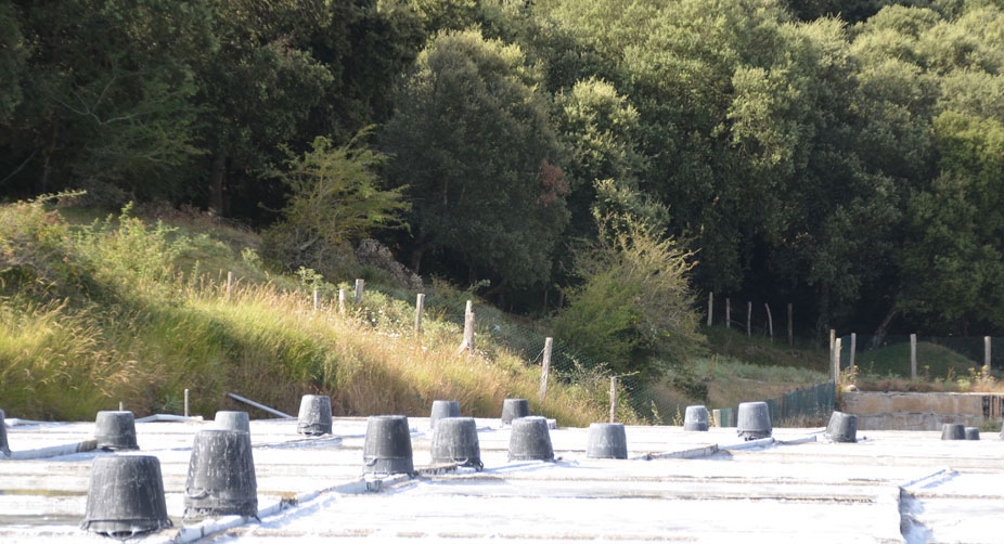 Produccion Artesanal de Sal